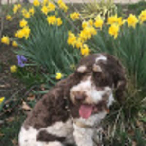 Meet your Posher, Anna